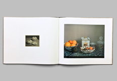 Flats by Sharon O’Neil - Photobook