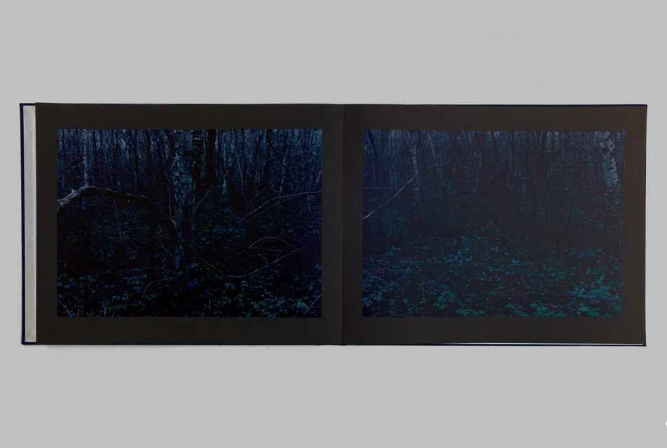 Lost by Andrew Pengilly - Limited artist edition