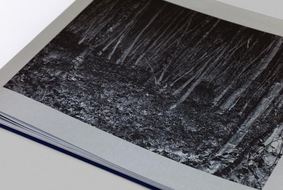 Lost by Andrew Pengilly - Photography book