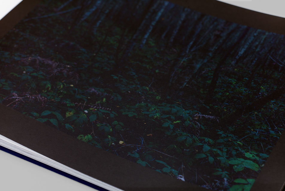 Lost by Andrew Pengilly - Limited artist edition