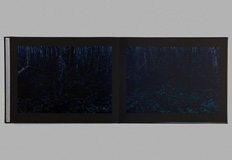 Lost by Andrew Pengilly - Photobook