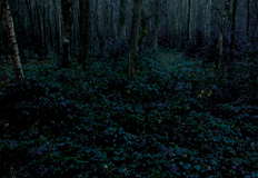 Lost by Andrew Pengilly - Photography book