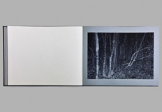 Lost by Andrew Pengilly - Limited artist edition