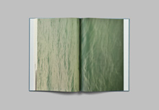 Mermaid / Mother by Annalaura palma - Photobook