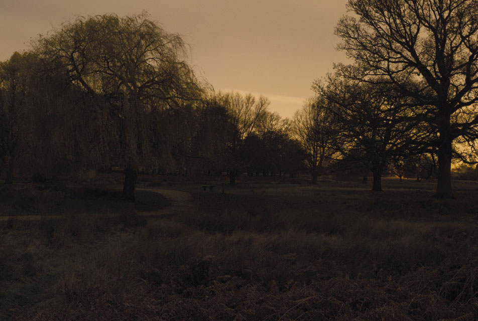 Obscured by Andrew Pengilly -  Photobook