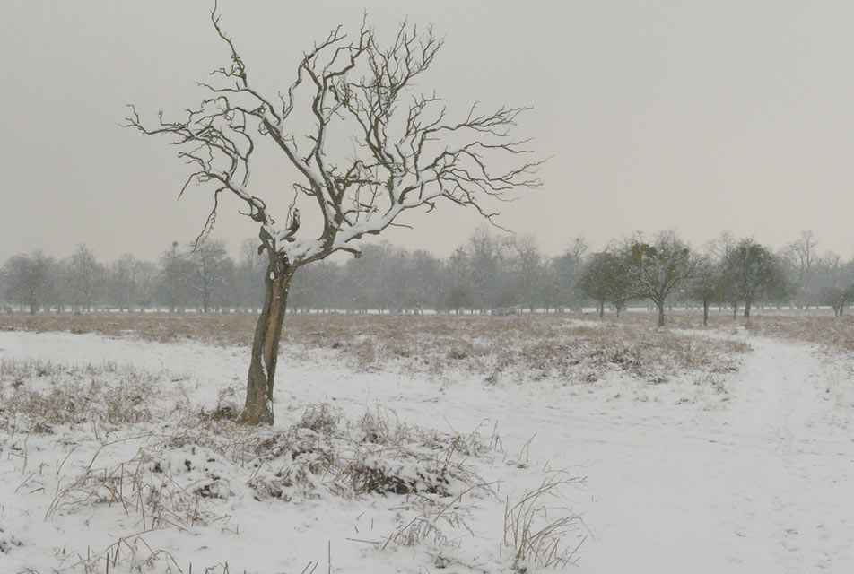 Obscured by Andrew Pengilly - Photography book