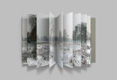 Obscured by Andrew Pengilly -  Photobook
