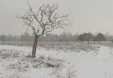 Obscured by Andrew Pengilly - Photography book