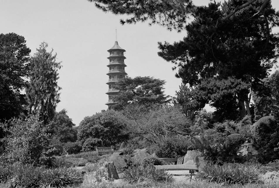 Oriental Gardens by Kayung Lai - Photobook