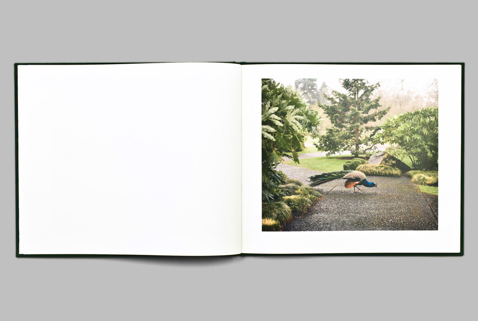 Oriental Gardens by Kayung Lai - Photography book