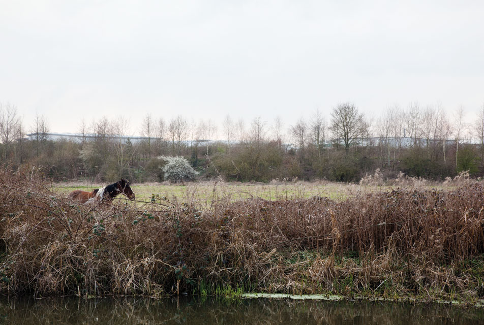 Towpath by Paul Walsh - Photobook