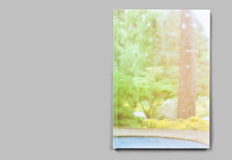 White by Andrew Pengilly - Photobook